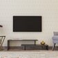 TV laud Kalune Design Ovit, must/hall hind ja info | Televiisori alused | hansapost.ee