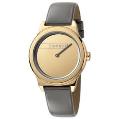 Женские часы Esprit ES1L019L0035 цена и информация | Женские часы | hansapost.ee
