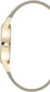 Käekell meestele Nine West NW_2512GPGY цена и информация | Käekellad meestele | hansapost.ee