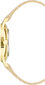 Käekell meestele Nine West NW_2558CHGD hind ja info | Käekellad meestele | hansapost.ee