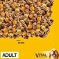 Pedigree Adult täiskasvanud koertele koos kana ja juurviljadega, 3x2,6 kg цена и информация | Koerte kuivtoit ja krõbinad | hansapost.ee