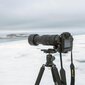 Tamron 150-500mm f/5-6.7 Di III VC VXD objektiiv Nikonile цена и информация | Fotoaparaatide objektiivid | hansapost.ee