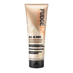 Palsam värvitud juustele Fudge All Blonde Colour Lock Conditioner, 250 ml hind ja info | Palsamid | hansapost.ee