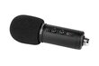 Kruger&Matz Warrior GV-100 цена и информация | Mikrofonid | hansapost.ee
