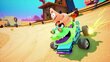 Nickelodeon Kart Racers 3 цена и информация | Konsooli- ja arvutimängud | hansapost.ee