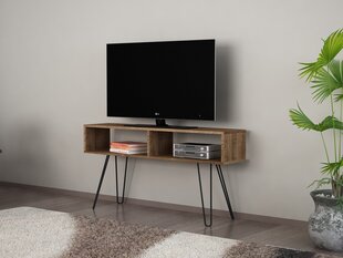 TV-laud Kalune Design 756, 120 cm, pruun hind ja info | Televiisori alused | hansapost.ee