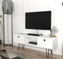 TV-laud Kalune Design 756(II), 120 cm, valge цена и информация | Televiisori alused | hansapost.ee