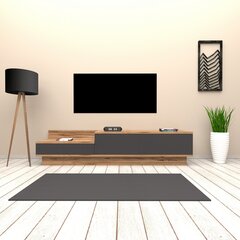 TV-laud Kalune Design 835, 160 cm, hall hind ja info | Televiisori alused | hansapost.ee