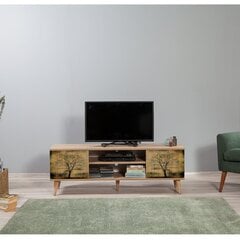 TV-laud Kalune Design 863(I), tamme värv/beež värv hind ja info | Televiisori alused | hansapost.ee