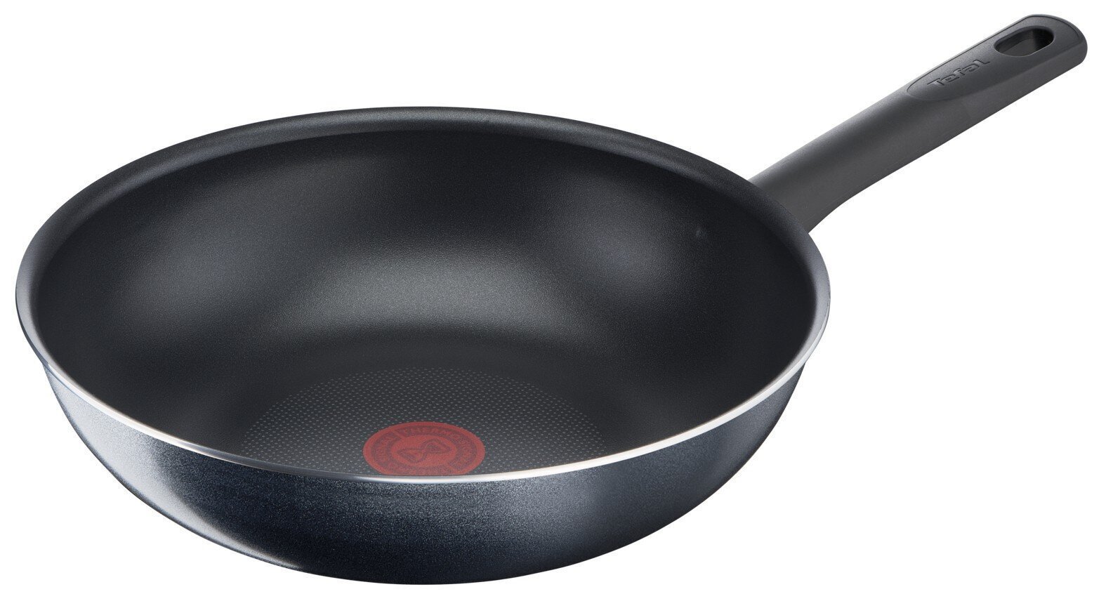 Tefal perepäeva pann, 28 cm, B5661953 цена и информация | Pannid | hansapost.ee