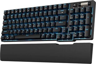 Royal Kludge RK96 черный беспроводная механическая клавиатура | 90%, Hot-swap, RGB, Red Switches, US цена и информация | Клавиатуры | hansapost.ee