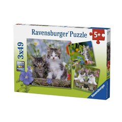 Пазл Ravensburger Kittens, 3x49 дет. цена и информация | Пазлы | hansapost.ee