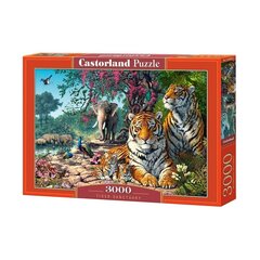Пазл Святилище тигров, 3000 д. цена и информация | Пазлы | hansapost.ee