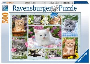 Pusle Ravensburger kassipojad korvis, 14196, 500 tk hind ja info | Pusled lastele ja täiskasvanutele | hansapost.ee