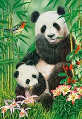 Pusle pandadega Castorland Panda Brunch, 1000 tk hind ja info | Pusled lastele ja täiskasvanutele | hansapost.ee