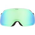 Alpina Лыжные очки по интернету