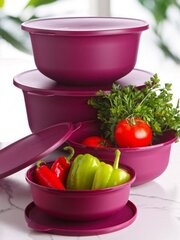 Plastkausside komplekt Hermia Alesta, 4-osaline цена и информация | Контейнеры для хранения продуктов | hansapost.ee