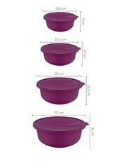 Plastkausside komplekt Hermia Alesta, 4-osaline price and information | Food storage containers | hansapost.ee