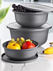 Plastkausside komplekt Hermia Alesta, 3-osaline цена и информация | Контейнеры для хранения продуктов | hansapost.ee