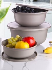 Plastkausside komplekt Hermia Alesta, 3-osaline цена и информация | Контейнеры для хранения продуктов | hansapost.ee