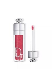 Блеск для губ Christian Dior Addict Lip Maximizer, 027 Intense Fig, 6 мл цена и информация | Помады, бальзамы, блеск для губ | hansapost.ee