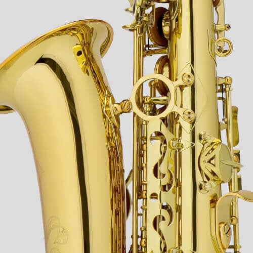 Saksofon Chateau Valencay CAS-22 Alto цена и информация | Puhkpillid | hansapost.ee