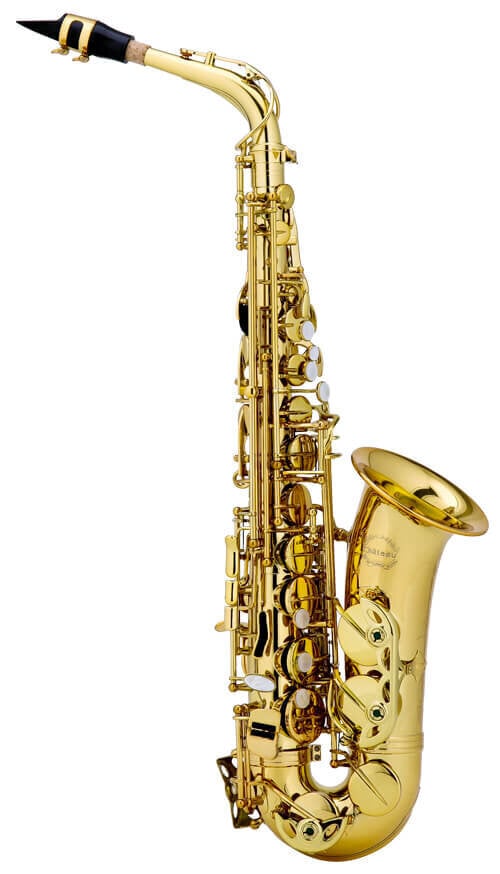 Saksofon Chateau Valencay CAS-22 Alto цена и информация | Puhkpillid | hansapost.ee