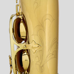 Saksofon Chateau Valencay CAS-22 Alto цена и информация | Духовые инструменты | hansapost.ee