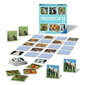 Mälumäng Ravensburger Grand Memory Theme: Small animals, EN цена и информация | Lauamängud ja mõistatused perele | hansapost.ee