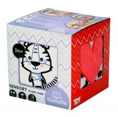Маленький кубик GaGag цена и информация | Игрушки для малышей | hansapost.ee