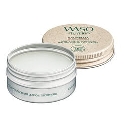 Universaalne palsam Shiseido Waso Calmellia Multi-Relief SOS, 20 g цена и информация | Кремы, лосьоны для тела | hansapost.ee