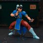 Figuur tänavavõitleja liikuv Jada Chun-Li ja aksessuaarid цена и информация | Mänguasjad poistele | hansapost.ee