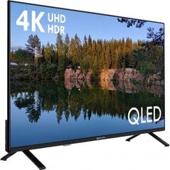 ProCaster 43Q951H цена и информация | Телевизоры | hansapost.ee