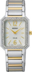 Käekell meestele Seiko SUP466P1 hind ja info | Käekellad meestele | hansapost.ee