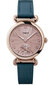 Käekell meestele Timex TW2T88200 hind ja info | Käekellad meestele | hansapost.ee