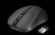 Trust Mydo Silent Click, black - Wireless Optical Mouse hind ja info | Arvutihiired | hansapost.ee