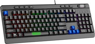 Celly Stealth Sparco цена и информация | Клавиатура с игровой мышью 3GO COMBODRILEW2 USB ES | hansapost.ee