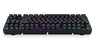 Endorfy Thock TKL беспроводной механическая клавиатура с подсветкой RGB (US, Kailh Box Black Switch) цена и информация | Клавиатуры | hansapost.ee