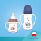 Lutipudel Canpol Babies 52455, 12 kuud+, 300 ml цена и информация | Lutipudelid ja tarvikud | hansapost.ee