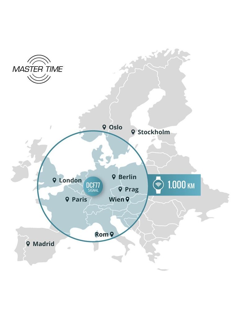 Käekell naistele Master Time MTLT 10352 31M цена и информация | Käekellad naistele | hansapost.ee