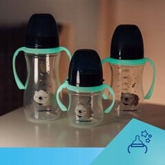 Lutipudel Canpol Babies 52455, 3 kuud+, 240 ml hind ja info | Lutipudelid ja tarvikud | hansapost.ee