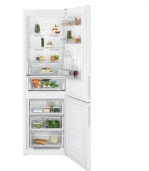 Electrolux LNT6ME32W2 600 цена и информация | Холодильники | hansapost.ee