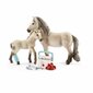 Kujukeste komplekt Schleich Horse Club 42430 цена и информация | Mänguasjad tüdrukutele | hansapost.ee