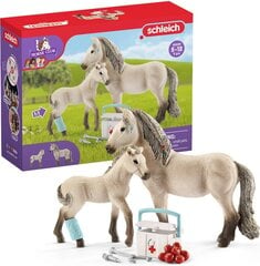 Kujukeste komplekt Schleich Horse Club 42430 цена и информация | Игрушки для девочек | hansapost.ee