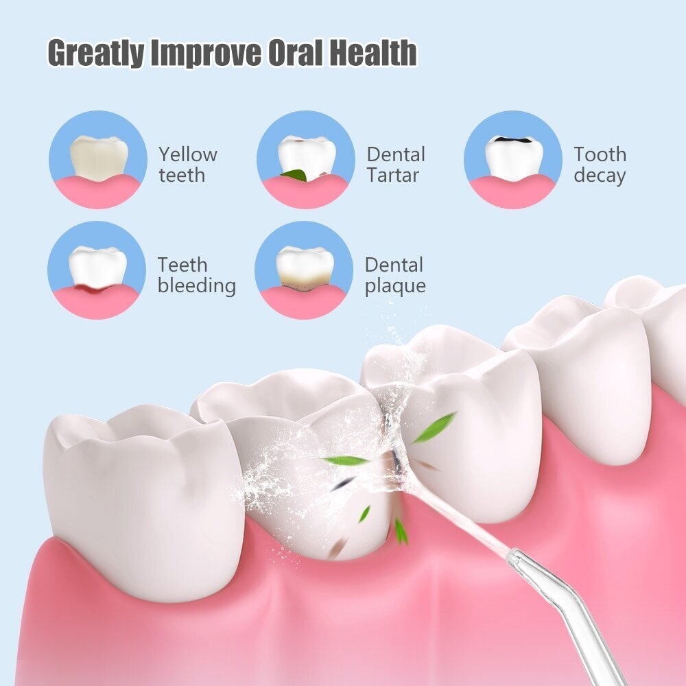 Oral Irrigator PPS hind ja info | Hambavahede puhastajad | hansapost.ee