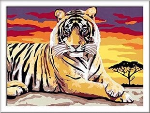 Ravensburger Creart Majestic Tiger Paint By Numbers for Kids - наборы для рисования искусства и ремесе цена и информация | Живопись по номерам | hansapost.ee