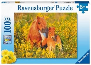 Pusle Ravensburger ponidega Shetland Pony, 13283, 100 tk hind ja info | Pusled lastele ja täiskasvanutele | hansapost.ee