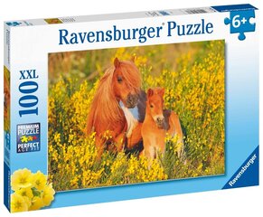 Пазл Ravensburger с пони Shetland Pony, 13283, 100 д. цена и информация | Пазлы | hansapost.ee