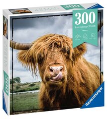 Пазл Ravensburger Highland крупного рогатого скота, 13273, 300 д. цена и информация | Пазлы | hansapost.ee