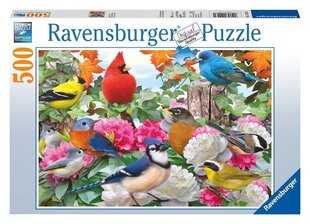 Pusle Ravensburger linnud 14223, 500 tk hind ja info | Pusled lastele ja täiskasvanutele | hansapost.ee